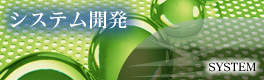 システム開発